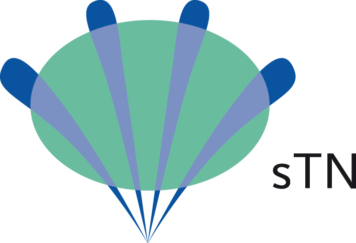Logo_STN_2